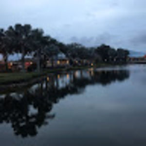 Meet your Posher, Molly